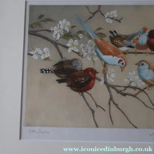 Load image into Gallery viewer, Pretty 1930s ORIGINAL Colour Etching of Little Birds Sitting on a Branch by Winifred Austen (1876 - 1964).  Pencil Signed
