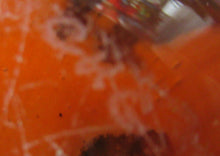 Load image into Gallery viewer, Early Caithness Glass Paperweight Little Mouse
