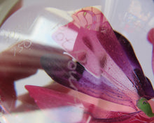 Load image into Gallery viewer, Margot Thompson Pot Pourri Scottish Caithness Glass Paperweight 1990
