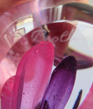 Load image into Gallery viewer, Margot Thompson Pot Pourri Scottish Caithness Glass Paperweight 1990

