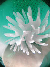 Load image into Gallery viewer, Scottish Paperweight Caithness Glass White Aster 1999
