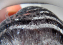 Load image into Gallery viewer, Limited Edition Caithness Paperweight Spinning Jenny 1993 Margot Thomson
