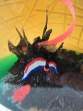 Load image into Gallery viewer, Helen Macdonald Scottish Paperweight Liberte Les Miserables Caithness Glass
