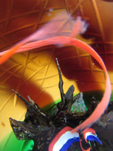 Load image into Gallery viewer, Helen Macdonald Scottish Paperweight Liberte Les Miserables Caithness Glass
