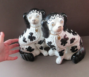 Victorian Antique Pair of Disraeli Dogs. Chimney Spaniels Wall Dugs