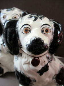 Pair of Antique Staffordshire Wall Dugs Staffordshire Dogs 1880s