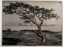 Load image into Gallery viewer, Pencil Signed Etching by John Rankine Barclay Scottish Art
