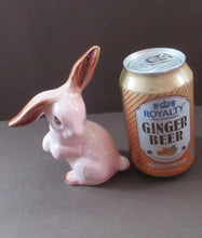 Load image into Gallery viewer, 1930s Sylvac Pale Pink Lop Eared Rabbit 1302
