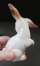 Load image into Gallery viewer, 1930s Sylvac Pale Pink Lop Eared Rabbit 1302
