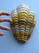 Load image into Gallery viewer, Shorter and Son Art Deco Ceramic Shell Wall Pocket
