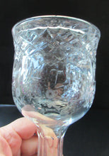 Load image into Gallery viewer,  Rogaska Crystal Cordial Decanter. Queen Design 9 3/4 inches
