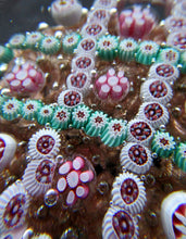 Load image into Gallery viewer, Vintage Murano Italian Glass Paperweight with Gold Aventurine and Millefiori
