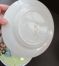 Load image into Gallery viewer, Antique Scottish Pottery Large Serving Bowl and Side Plate Mak Merry
