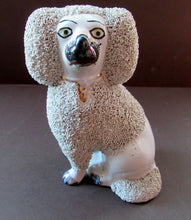 Load image into Gallery viewer, MEDIUM SIZE: Antique Staffordshire Poodle with Shredded Clay Decoration; Separate Front Legs c 1880
