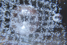 Load image into Gallery viewer, Alastair MacIntosh Caithness Paperweight Silver Rain Vintage 1992

