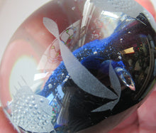 Load image into Gallery viewer, 1972 Caithness Paperweight with Engraved Fish. Colin Terris Limited Edition
