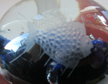 Load image into Gallery viewer, 1972 Caithness Paperweight with Engraved Fish. Colin Terris Limited Edition
