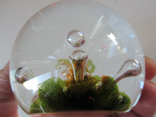 Load image into Gallery viewer, Caithness Paperweight Colin Terris Seadance 1993

