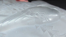 Load image into Gallery viewer, Art Deco Shade. P D&#39;avesn France Signed Glass Plaffonier with Bird Decoration
