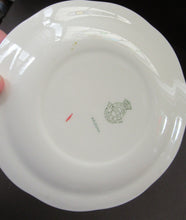 Load image into Gallery viewer, 1950s Crown Ducal Arizona Pattern Single Side Plate
