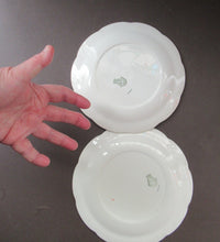 Load image into Gallery viewer, 1950s Atomic Garden Design. Crown Ducal Arizona Pattern  Pair of Side Plates
