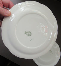 Load image into Gallery viewer, 1950s Atomic Garden Design. Crown Ducal Arizona Pattern  Pair of Side Plates
