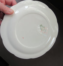 Load image into Gallery viewer, 1950s Atomic Garden Design. Crown Ducal Arizona Pattern  Pair of Side Plates
