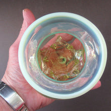 Load image into Gallery viewer, Antique Webb Glass or Walsh Walsh Thorn Glass Bowl Vase
