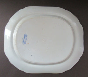 Scottish Pottery Bo'ness Jamieson Ashet or Platter - Modern Athens The Royal Institution
