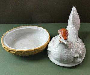 Victorian Staffordshire Pottery Chicken or Hen on a Nest 