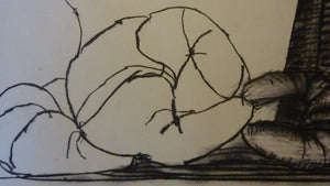 John Jack Kox Still Life Charcoal Drawing Scottish Art