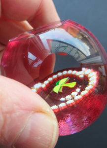 Caithness Glass Miniature Paperweight. Scottish Glass Daffodil
