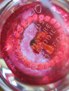 Caithness Glass Miniature Paperweight. Scottish Glass Daffodil