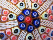 Load image into Gallery viewer, 1950s Scottish Glass Paperweight Vasart Millefiori
