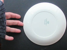 Load image into Gallery viewer, Vintage 1960s Parisienne Pattern Plate by ALFRED MEAKIN. 6 3/4 inches diameter.
