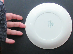 Vintage 1960s Parisienne Pattern Plate by ALFRED MEAKIN. 6 3/4 inches diameter.