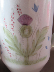 Buchan Pottery Stoneware Coffee Pot Thistles Pattern 1950s 1960s