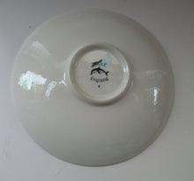 Load image into Gallery viewer, Large Poole Delphis Plate 1970s 
