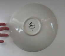 Load image into Gallery viewer, Large Poole Delphis Plate 1970s 
