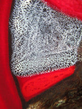 Load image into Gallery viewer, Large Poole Delphis Plate 1970s 
