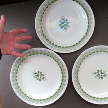 Load image into Gallery viewer, ERIC RAVILIOUS. Vintage 1950s Wedgwood THREE DINNER PLATES. Persephone / Harvest Festival Pattern
