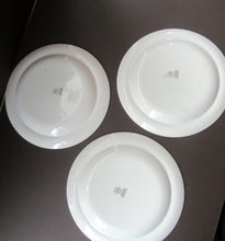 Load image into Gallery viewer, ERIC RAVILIOUS. Vintage 1950s Wedgwood THREE DINNER PLATES. Persephone / Harvest Festival Pattern
