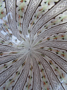 Vintage Venetian / Salviati Murano Glass Latticino Zanfirico Glass Finger Bowl & Saucer; Gold Inclusions. Both with Frilled Edges
