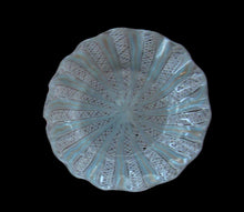 Load image into Gallery viewer, Vintage Venetian / Salviati Murano Glass Latticino Zanfirico Glass Plate; Gold Inclusions and Frilled Edge
