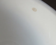 Load image into Gallery viewer, 1960s NORWEGIAN CLUPEA (Herring) Design. RARE Large Serving Bowl. Figgjo Flint, Turi Design 
