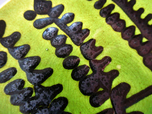 Margery Clinton Small Plate with Slipware Tree Pattern