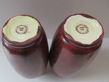 Load image into Gallery viewer, Pair of Minton Hollins Astra Ware Vases
