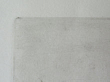 Load image into Gallery viewer, Pretty Vintage FRENCH Colour Etching. Artist&#39;s Edition. Titled: Fleurs Jaune. With indistinct pencil signature
