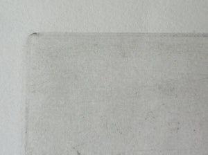 Pretty Vintage FRENCH Colour Etching. Artist's Edition. Titled: Fleurs Jaune. With indistinct pencil signature