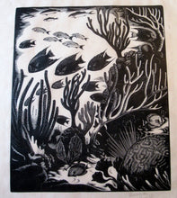 Load image into Gallery viewer, Robert Gibbings Wood Engraving Blue Angel Fish and Coral
